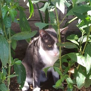 Meet your Posher, Concepcion